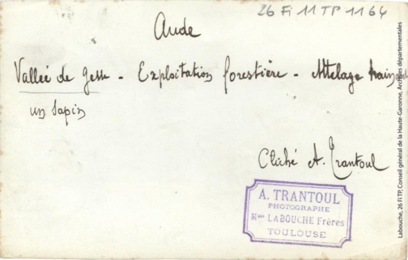 Aude. Vallée de Gesse. Exploitation forestière : attelage trainant un sapin / photographie Amédée Trantoul (1837-1910). - Toulouse : maison Labouche frères, [entre 1900 et 1910]. - Photographie (1900/1910) - verso